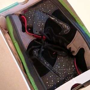 Nike Dunk SB 10.5 NORTHERN LIGHTS